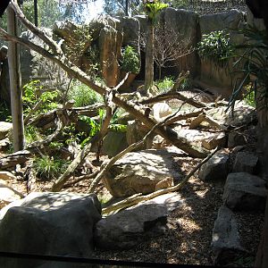 small-clawed otter enclosure