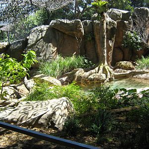 small-clawed otter enclosure
