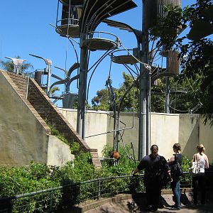 view of orangutan enclosures