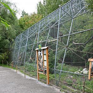 Capuchin and squirrel monkey enclosure