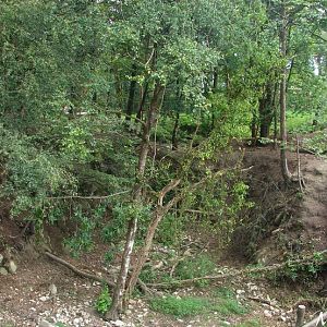 New mandrill exhibit