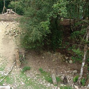 New mandrill exhibit