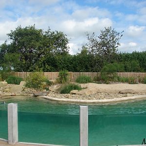 New jackass penguin exhibit