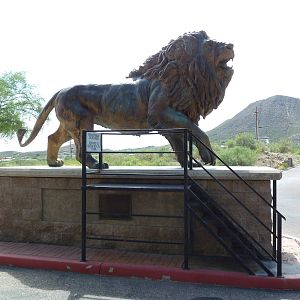 Lion Statue