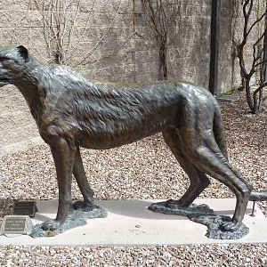 Cheetah Statue
