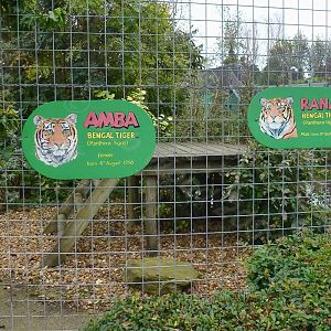 Bengal Tiger enclosure