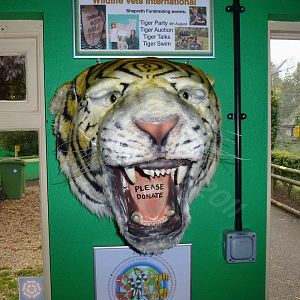 Tiger Conservation Donation Box