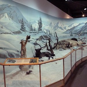 Predator + Prey Hall