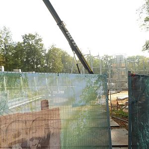 Construction of gorilla exhibit
