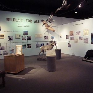 Wildlife For All Hall