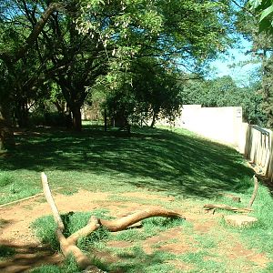 Johannesburg Zoo - Oct 2011