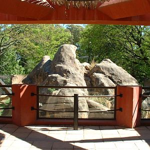 Johannesburg Zoo - Oct 2011