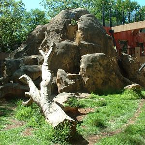 Johannesburg Zoo - Oct 2011