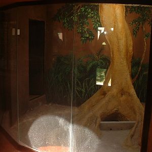 Johannesburg Zoo - Oct 2011