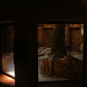 Johannesburg Zoo - Oct 2011