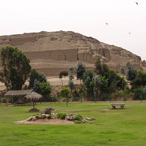 View over the "South American Camels" Enclosure
