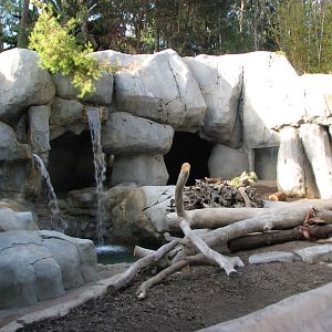 Brown Bear Exhibit