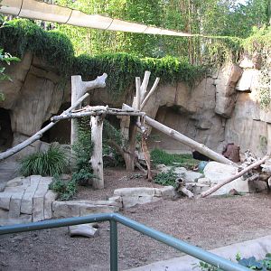 Sloth Bear Exhibit