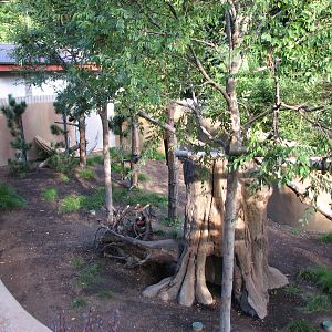Panda Trek - Red Panda Exhibit