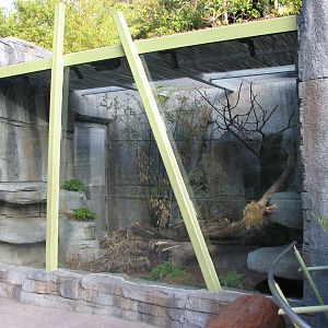 Panda Trek - Mang Mountain Pit Viper Exhibit