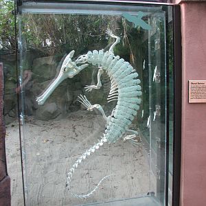 Reptile Mesa - Gharial Exhibit
