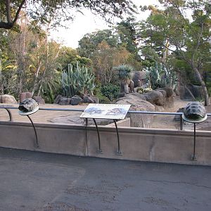 Reptile Mesa - Galapagos Tortoise Exhibit