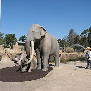 Elephant Odyssey - Columbian Mammoth Statues
