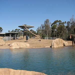 Elephant Odyssey - Asian Elephant