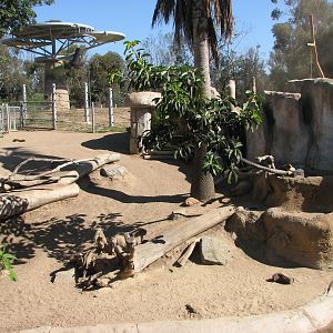 Elephant Odyssey - Mixed Species Exhibit