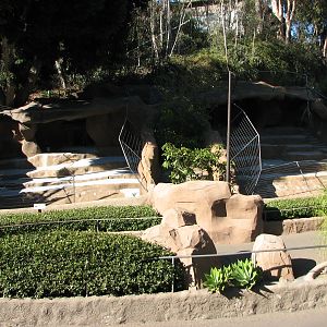 Africa Rocks - Central Chinese Goral Exhibit