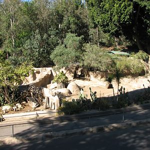 Africa Rocks - Southern Warthog Exhibit