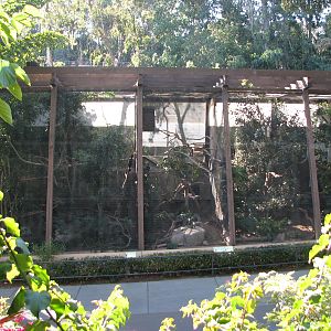 Asian Passage - Hornbill Exhibits