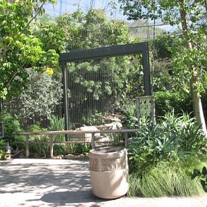 Wings of the World Aviary