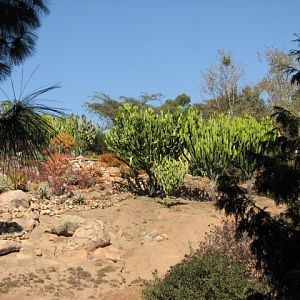 World Gardens