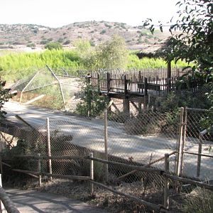 Old Monorail Tracks Near Tiger Exhibit