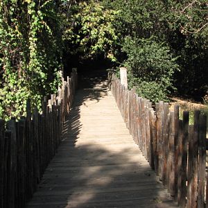 Kilimanjaro Trail - Suspension Bridge