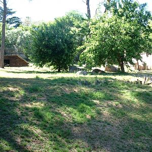 Johannesburg Zoo - Oct 2011