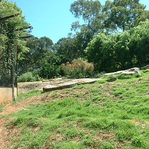 Johannesburg Zoo - Oct 2011