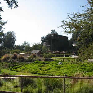 Great Lift Rift - Cheetah Run In Foreground