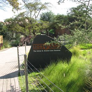 Lion Camp - Entrance