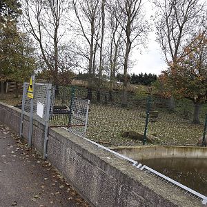 Brazilian Tapir paddock in Autumn at Blackpool zoo 16/10/11