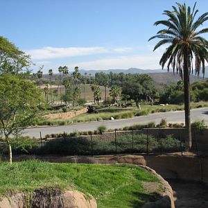 Lion Camp and Lowland Nyala Exhibit