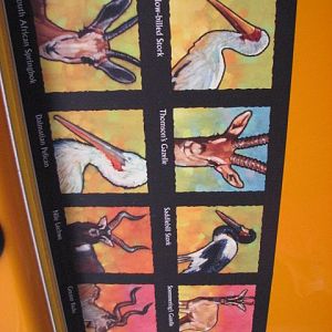 Africa Tram Safari Species Guide