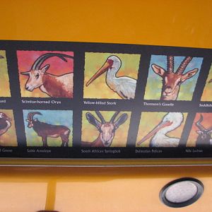 Africa Tram Safari - Species Guide