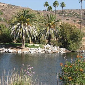 Southern Africa - Pelican Island
