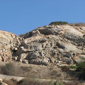 Africa Tram Safari - Mountain Habitat
