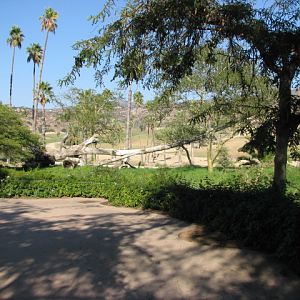 African Outpost - South African Cheetah Exhibit