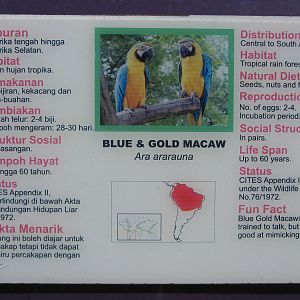 example of signage