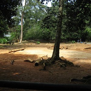 African enclosure