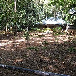 Malayan tapir enclosure